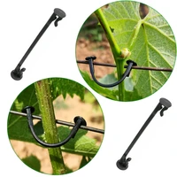 garden plants bundled buckle grape vines vegetable strapping clips greenhouse vegetables fasteners tool 501002005001000pcs