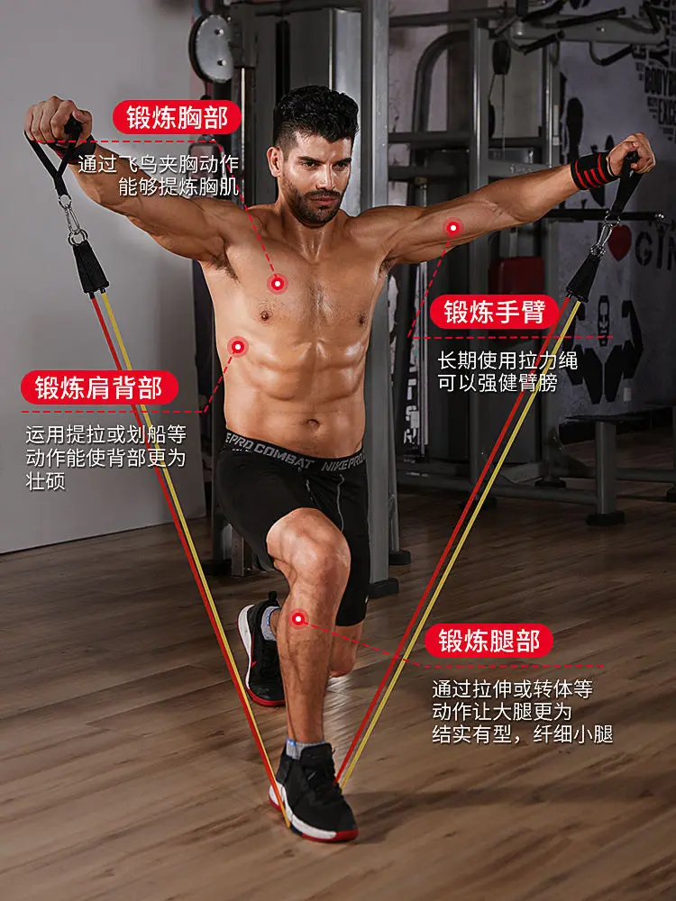 

Home fitness elastic band chest muscle training resistance rope pull rope elastic rope Figure 8 Rally Household Tension Belt