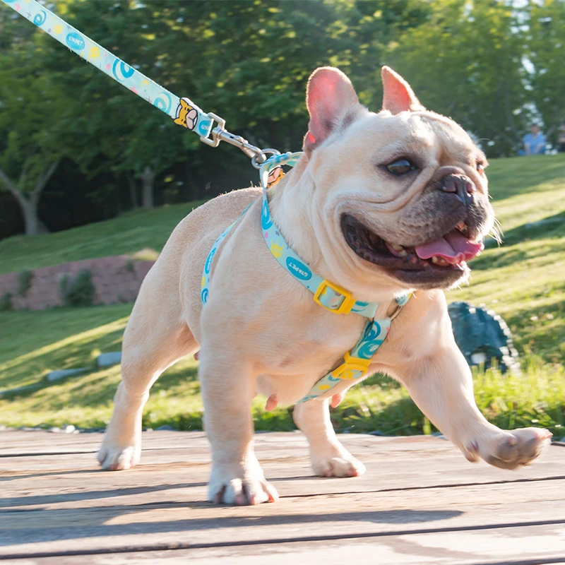 

Soft Dog Harness No Pull Dog Accessories Collar Nylon Strong Leash Luxury Dog Collar Honden Harnas Bull Terrier Greyhound DD55QY