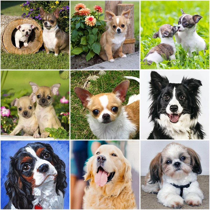 DIY 5D алмазная картина собака животное Алмазная вышивка продажа стразы мозаика