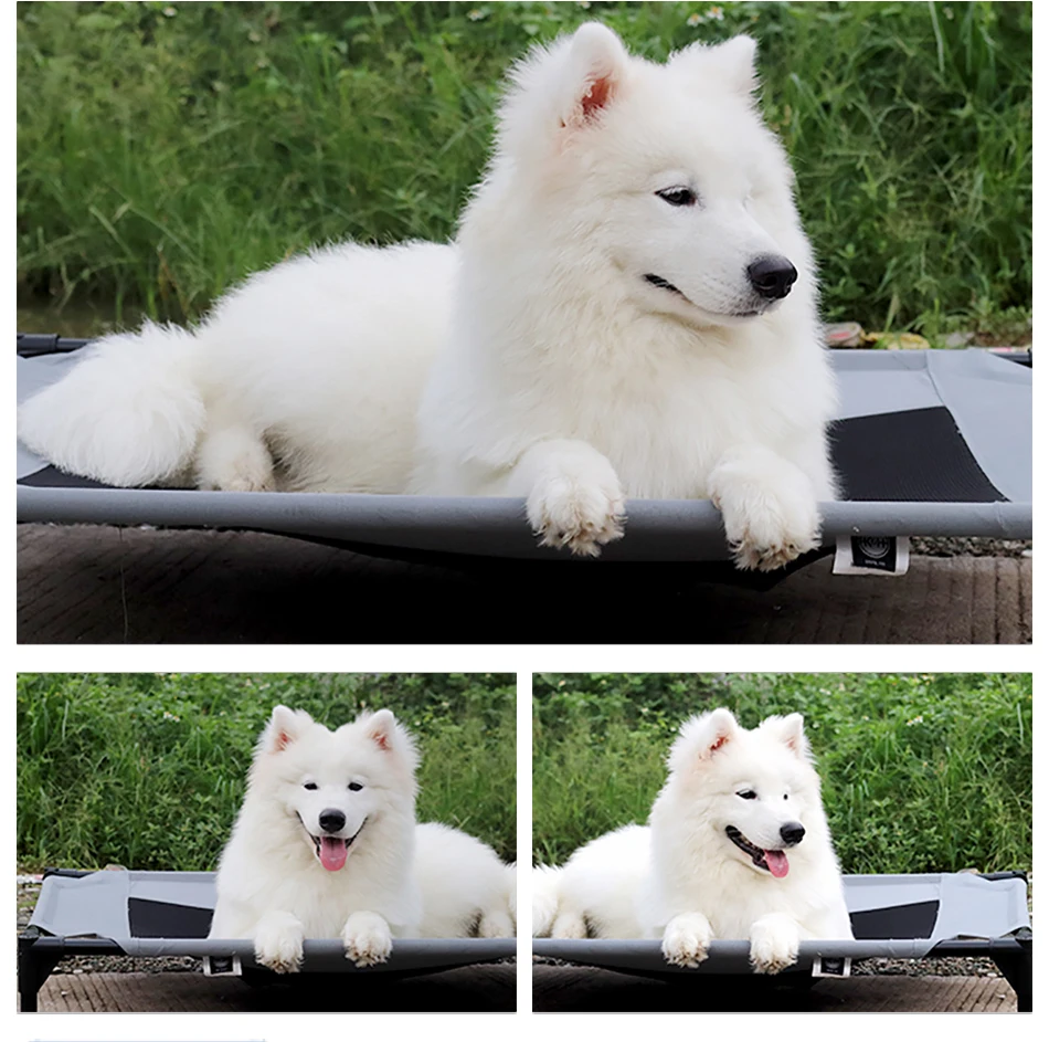 

Dog Camp Bed Moisture-proof Breathable Summer Dog Bed Small Medium and Large Dog Pet Kennel Four Seasons Universal