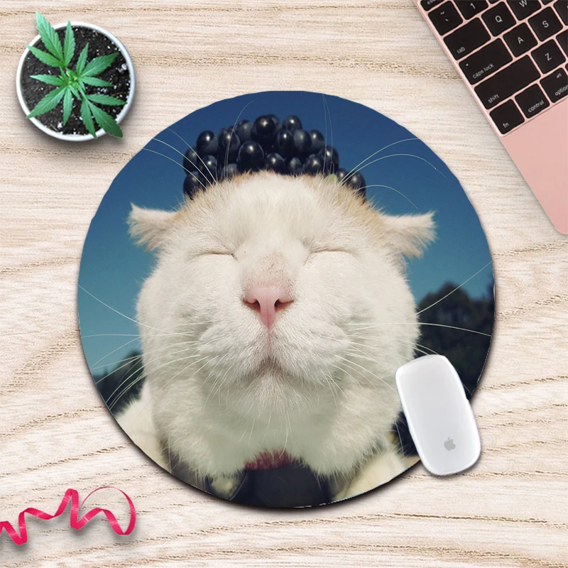 

MRGLZY Mouse Pad Girl Cute Trumpet Cartoon Animal Desktop Office Non-slip Student Game Animal Seaming Mouse Pad Round Pad