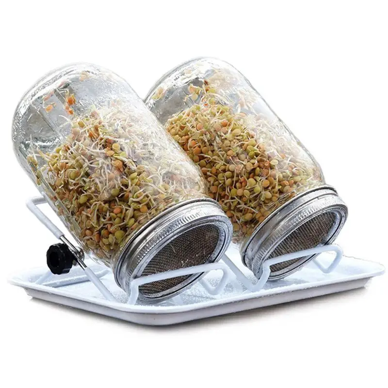 Kenley Sprouter Kit Sprouting Mason баночки с нержавеющими стальными сетчатыми крышками Germinator Set