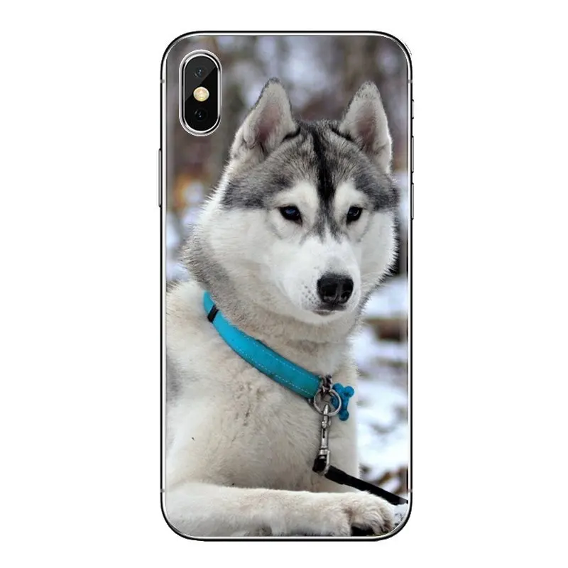 Прозрачные мягкие чехлы милые игрушечная Лайка собака для Samsung Galaxy A3 A5 A7 A9 A8