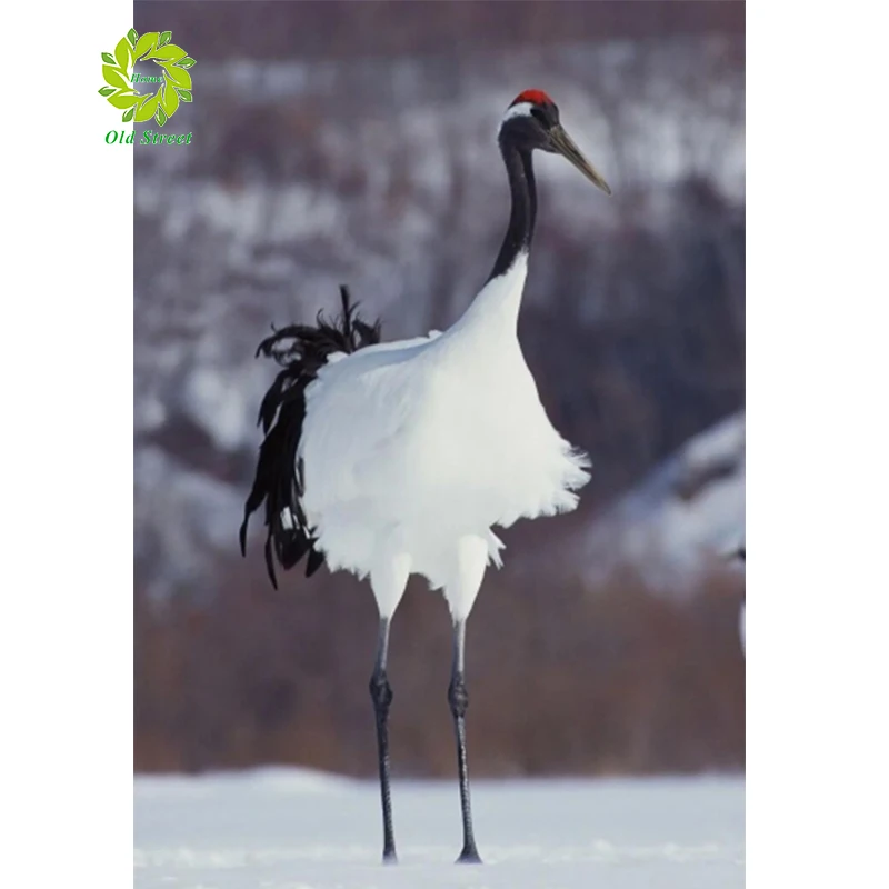 

DIY Round Diamond Painting "Animal" Full Drill Square Round Diamond Embroidery 5D Cross Stitch Decoration Home