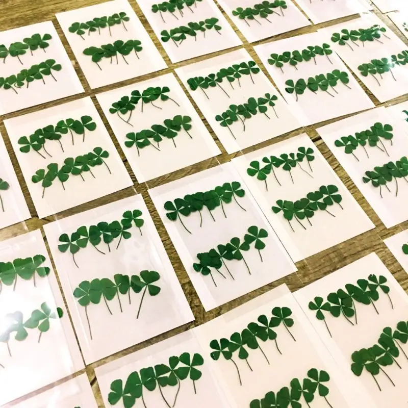 

10Pcs Dried Leaf Clover UV Resin Decor Nail Art Epoxy Mold DIY Filling Jewelry