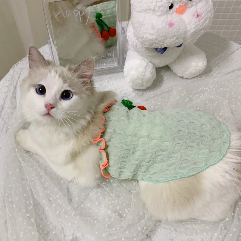 

Одежда для кошек, летние куклы, на весну и осень, тонкие кошачьи жилеты, котята, против выпадения волос, слинг для котят