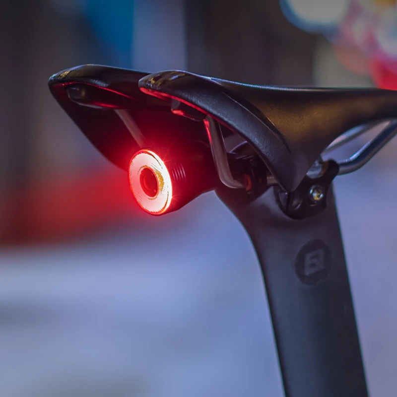 

ROCKBROS Bicycle Smart Auto Brake Sensing Light IPx6 Waterproof LED Charging Cycling Taillight Bike Rear Light Accessories Q5