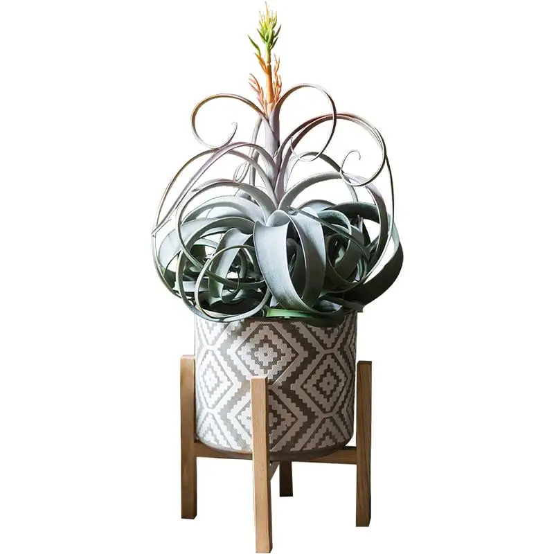 Искусственные цветы материалы для расположения цветов искусственный воздух