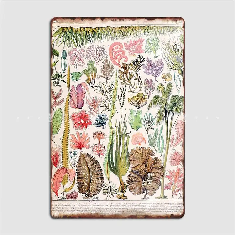 

Adolphe Millot Algues французский винтажный металлический плакат с табличкой, забавная картина, декор, оловянный плакат
