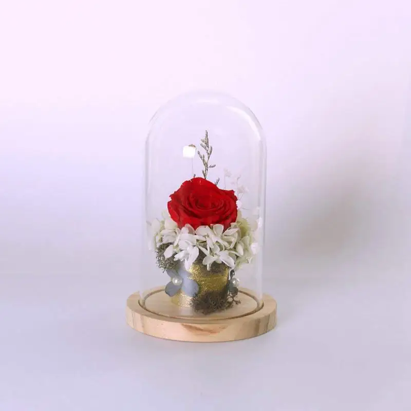 Transparent glass bell suction jars with wooden floor for flowers plants gift L | Дом и сад