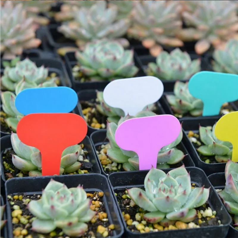 

100 Pcs Plastic Plant Seed Labels Pot Marker Nursery Garden Stake Tags 10cm x2cm / 5cm x7cm