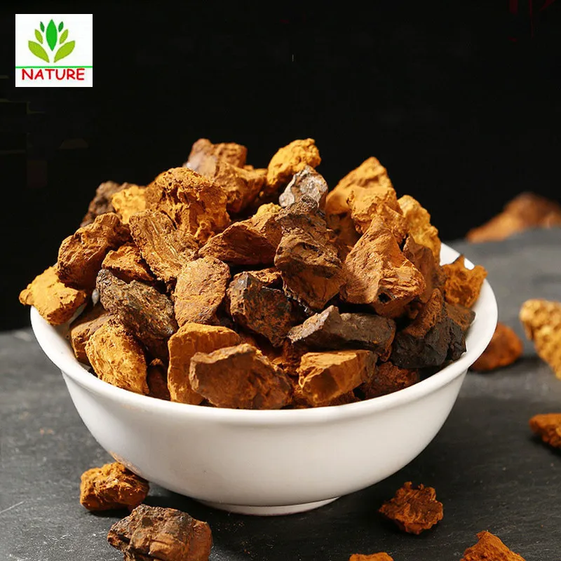 

Organic Wild Chaga Mushroom Fresh Harvest Inonotus Obliquus Chunks Tree Fungus