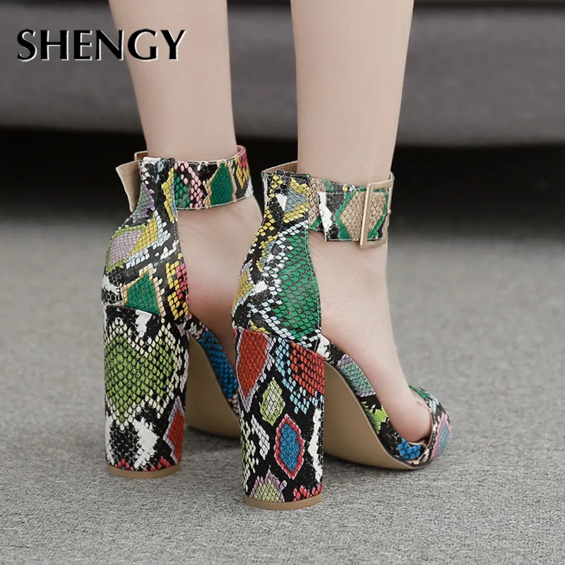 

Women Buckle Strap Pumps 2021New Casual Multicolor Serpentine Square Heel Fashion High Heels Women Nightclub Party Shoes