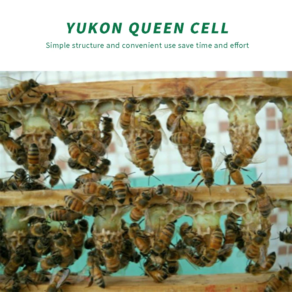 1 комплект пчеловодства оборудование пчел Queen Rearing Cupkit системы ловушка для