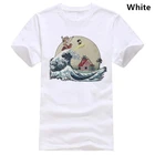 Футболка унисекс GOKU AND MASTER ROSHI RIDE THE WAVE для мужчин и женщин 938