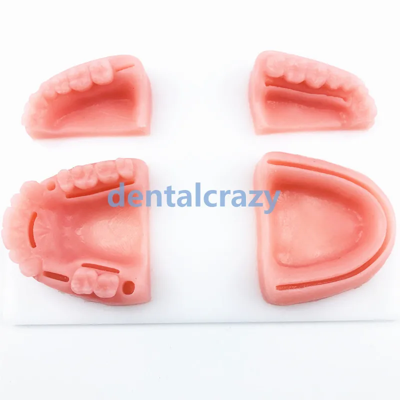 4 шт./компл. стоматологический пероральный/десен учебный модуль силиконовая