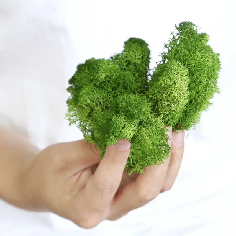 

Preserved Moss Real Natural Art Deco Variety Frame Kits Flat For Wedding DIY Green Wall Home Decor Craft Decorations Kerst