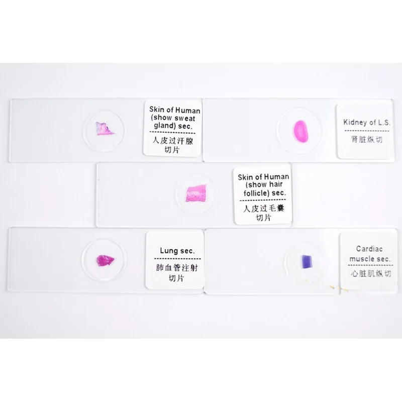 100 шт. стеклянные предметы для микроскопа в пластиковой коробке | Инструменты