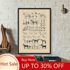 Винтажная карта анатомии лошадей, живопись на холсте, биология, настенный художественный декор, плакат, украшения 2021, плакат, офисный Декор