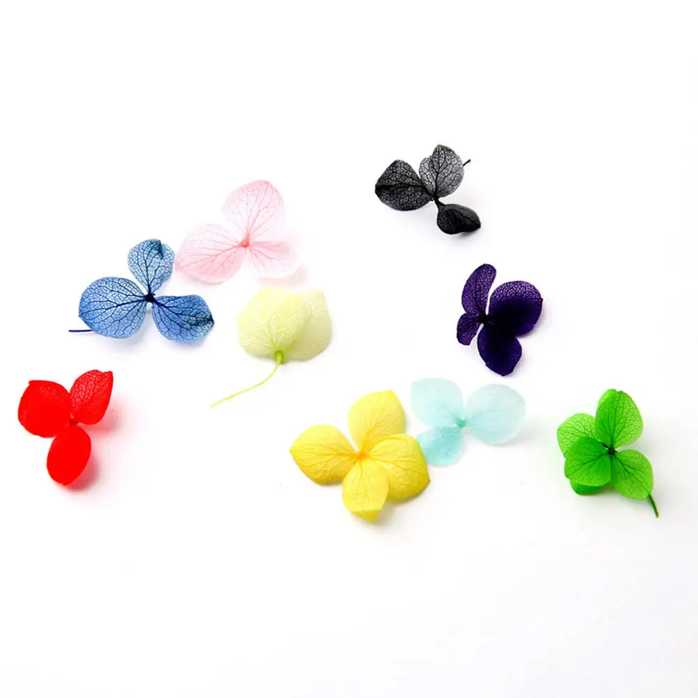 2 коробки микс настоящих цветов украшения для ногтей ювелирные изделия