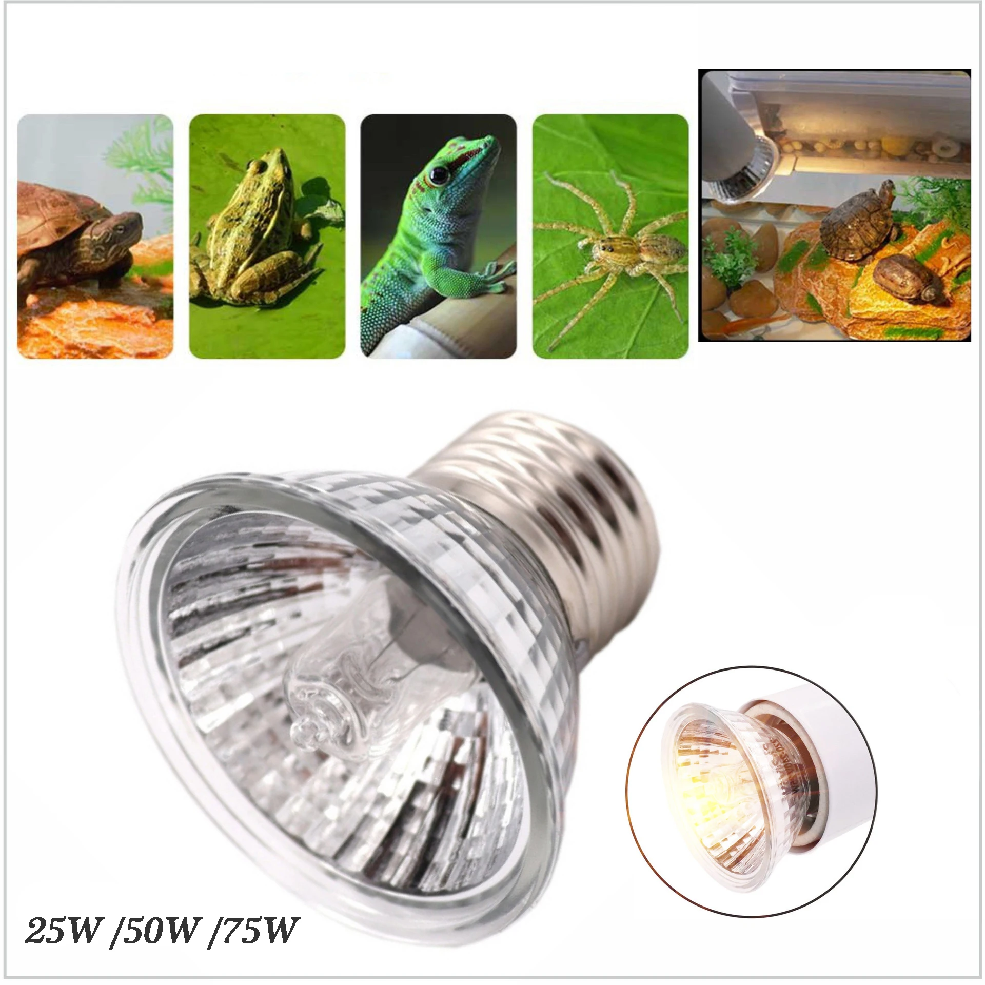 

Reptile UV Lamp Pet Turtle Heating Bulb 25W/50W/75W Lizard Hamster Temperature Controller Reptile Accessories Calcium Supplement