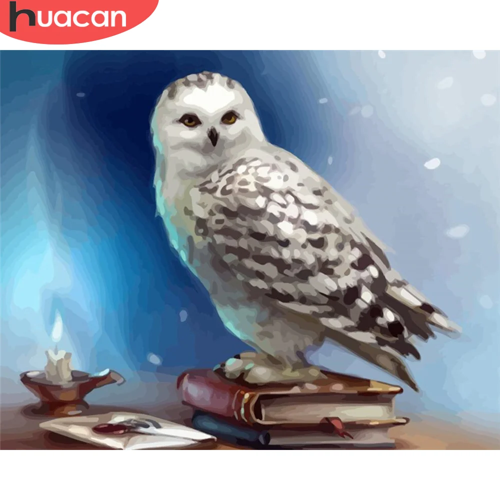 

HUACAN DIY Pictures By Number Owl Kits Drawing On Canvas Painting By Numbers Animal Hand Painted Painting Art Gift Home Decor