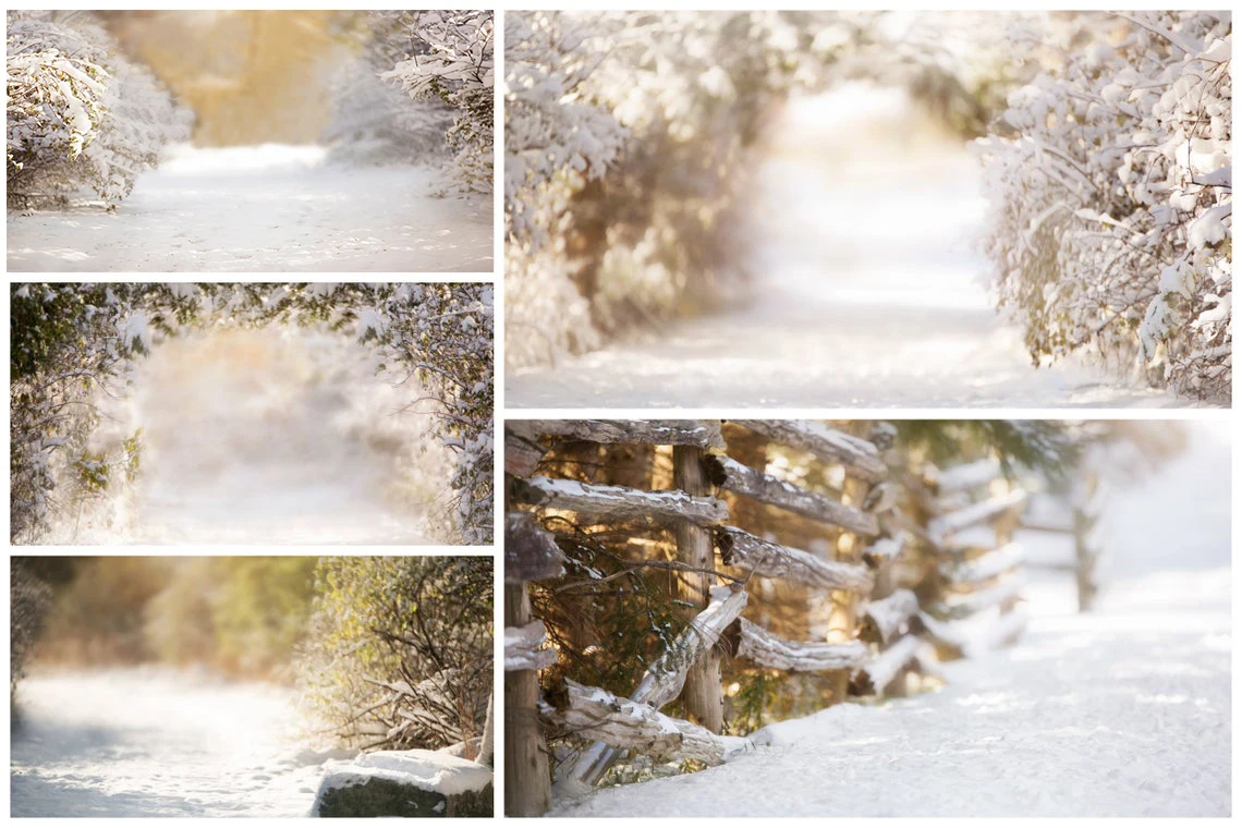 

Winter Snow Creamy Digital Backdrops Christmas Background Backdrops Decorations for Home Photo Studio Backdrop Photocall
