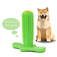 pet products rubber dog chew toy pet tooth cleaning supplies small dog toothbrush toy popular interactive rubber kong dog toys