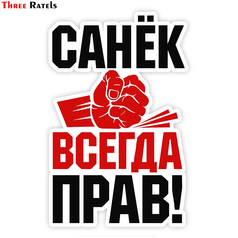 

Three Ratels TZ-1793# 11x17cm Roberto Sanya is always right! car stickers funny sticker auto decals