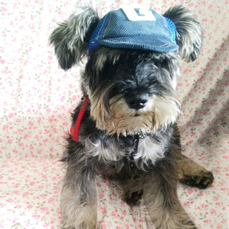 

Pet Dog Hats Breathable Cute Summer Baseball Sun Cap With Ear Holes For small medium large dog Outdoor Accessories Hiking Sports