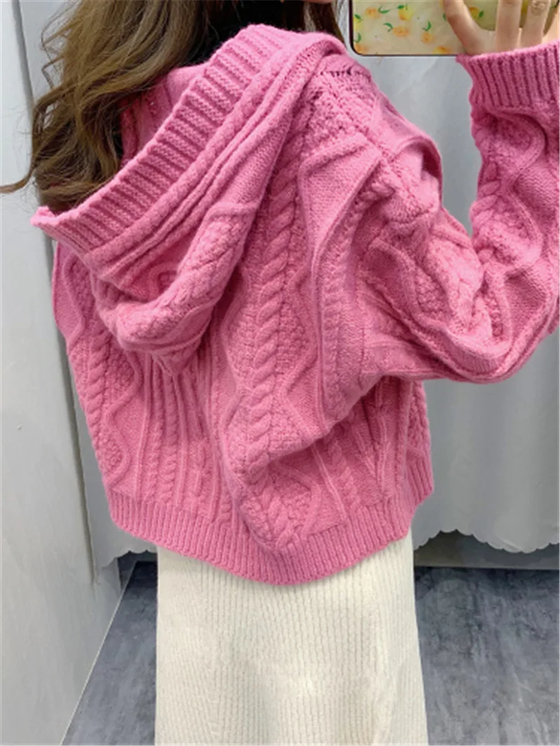 Элегантный женский свитер и кардиган в Корейском стиле Повседневный с капюшоном