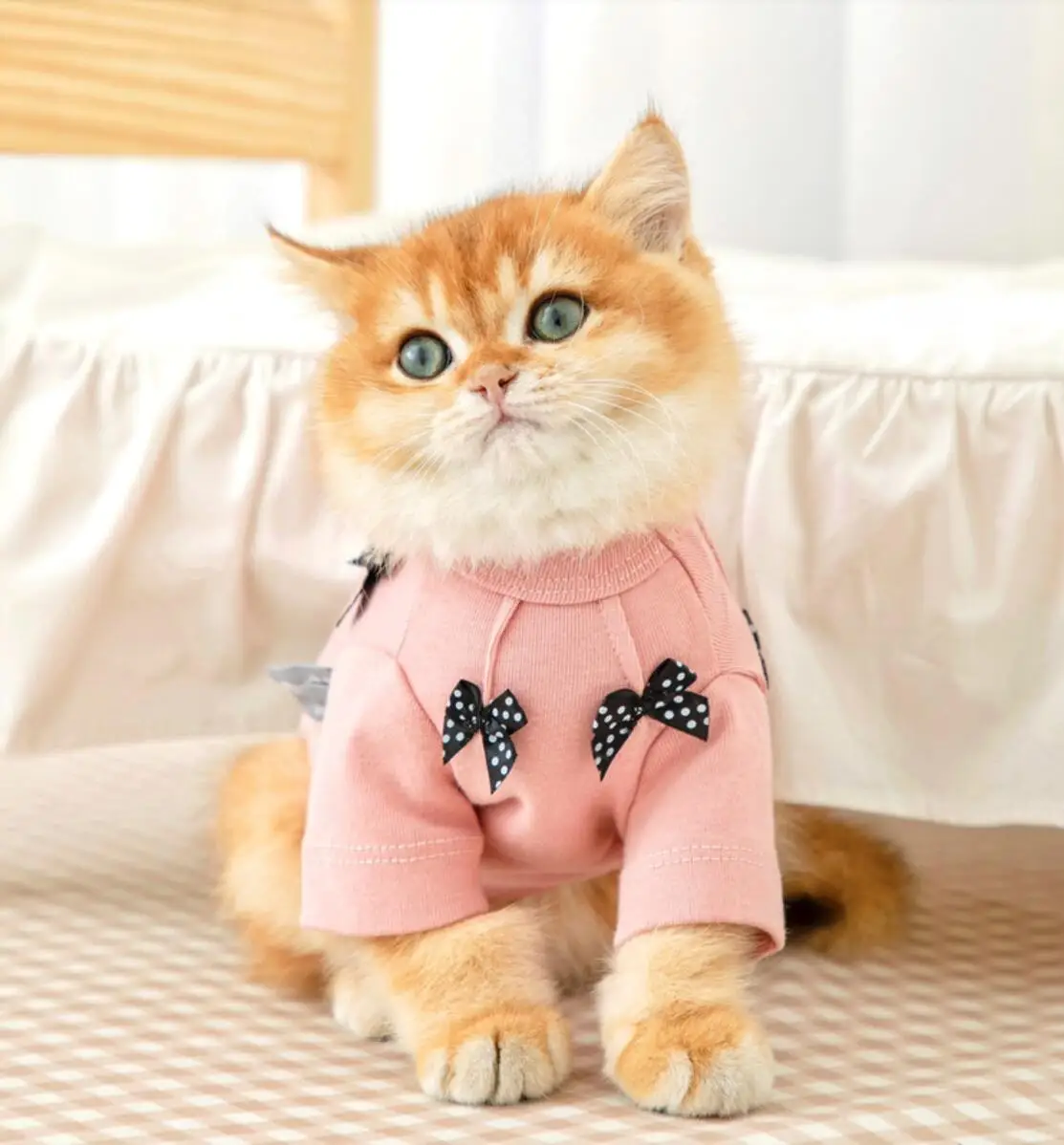 

Cat Costumes Puppy Kitten Cute Hoodies Soft Puppy Cat Apparel Clothing