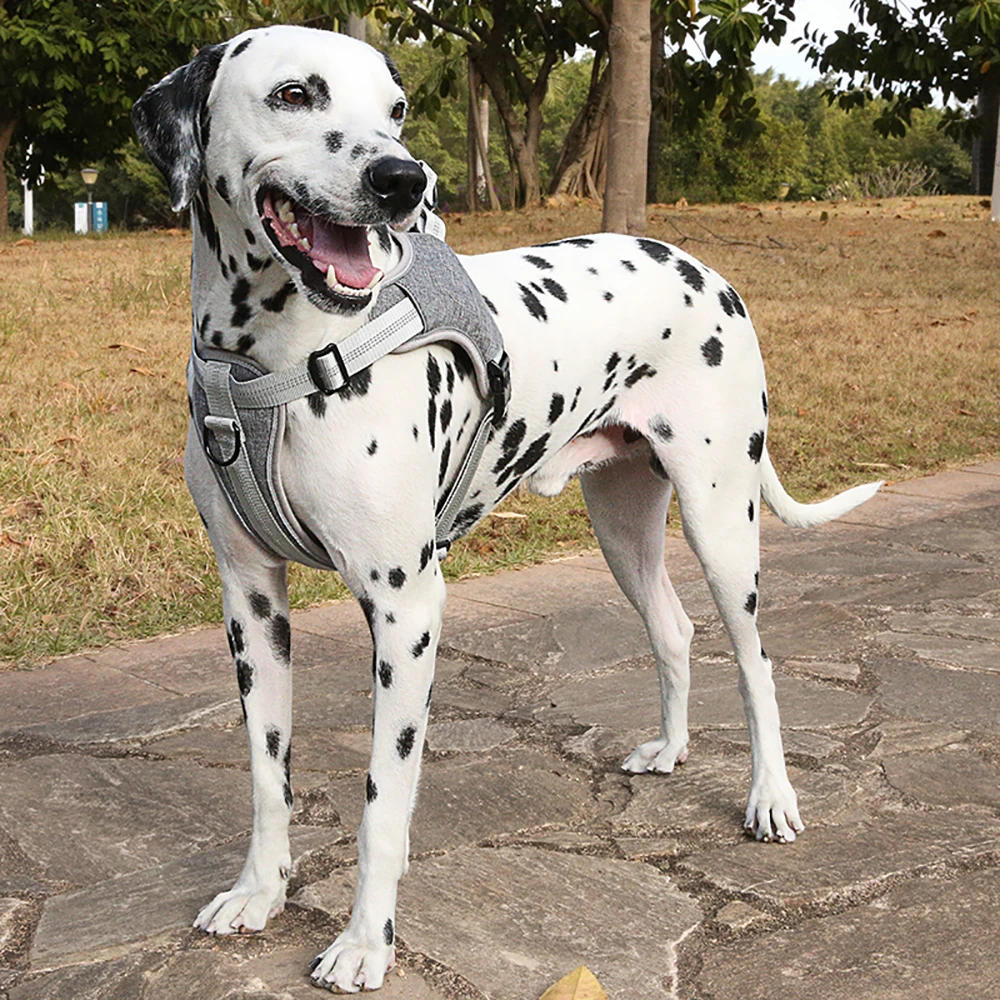 

Vest Adjustable Reflective Strong Soft Padded Small Medium Large Nylon Dog Harness Dogs Supplies
