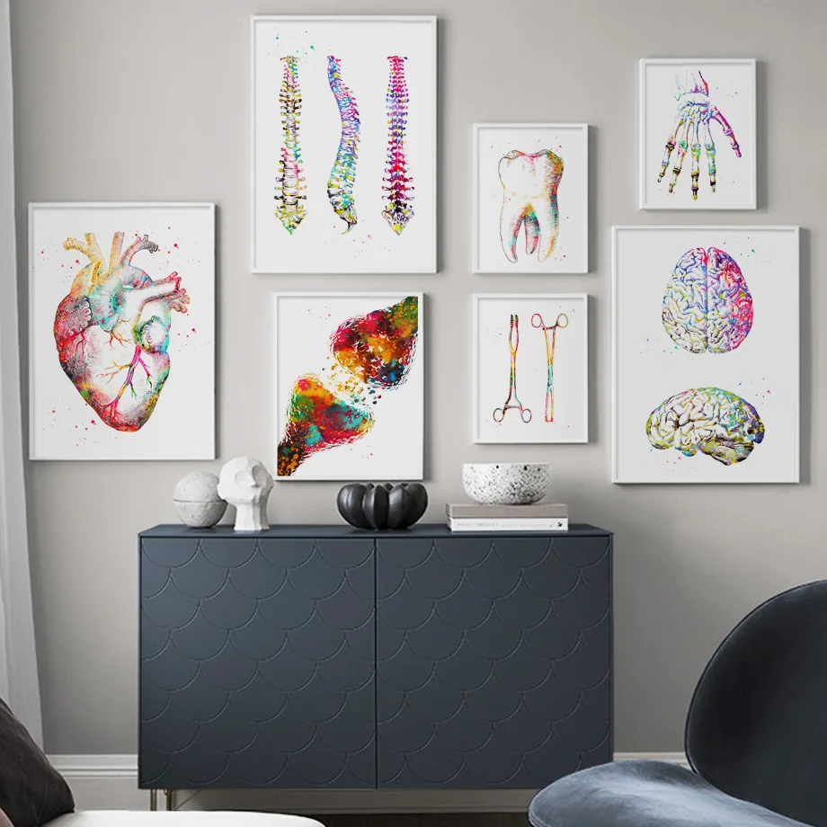 

Colorful Organ Anatomy Art Human Heart Brain Lungs Wall Art Canvas Painting Nordic Poster Wall Pictures For Living Room Unframed