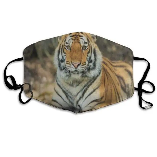 

Aesthetic Sitting Tiger Pattern Printed Mouth Covering Washable Reusable Fabric Face Mask with Filter