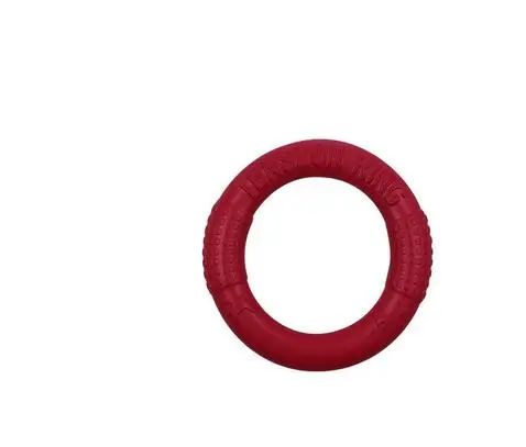 

Interactive Dog Toy Training Puzzle Bite Stick Bouncy Ball Toys EVA Pet Pull Ring Bite-Resistant Dog Floating Flying Disc