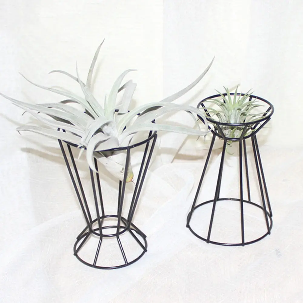 

2Pcs Simple Air Plant Holder Stylish Office Plant Rack Flower Arrangement Stand