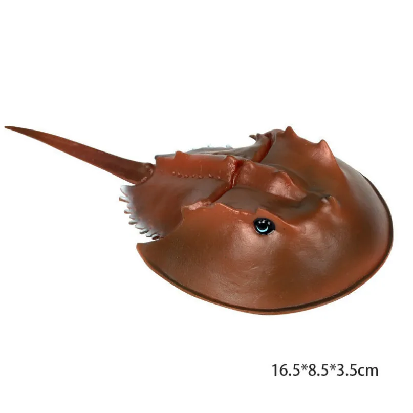 Chinese sturgeon Модель осьминога, Акула, парусник, модель осьминога, фигурка морской жизни, образовательная фигура, океан, с животными из ПВХ, игрушка для детей, Детский декор, подарок - Цвет: Chinese sturgeon