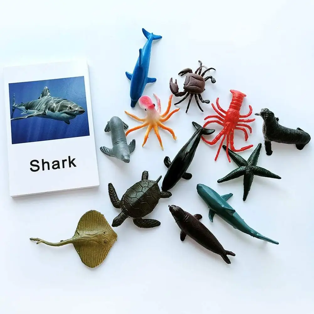 

24pcs Baby Montessori Learning Language Materials Poultry/Sea Animal Match Cards Montessori Educational Toys For Children