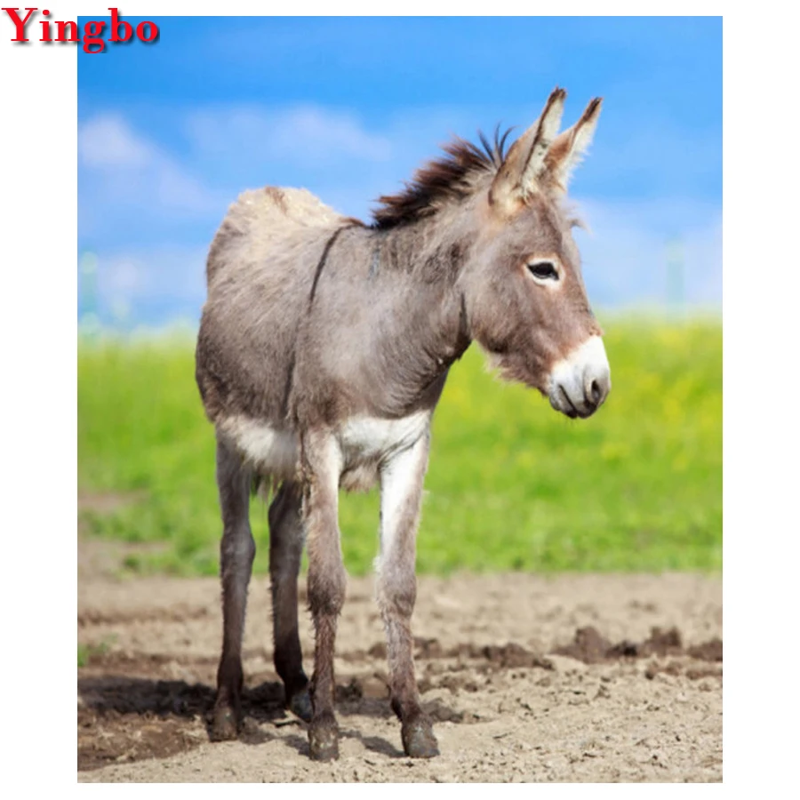 Алмазная картина &quotсделай сам&quot с изображением Ослика животных полностью