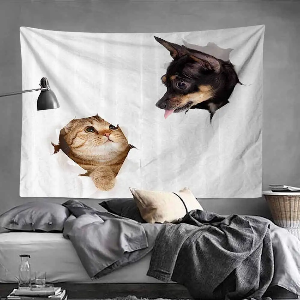 Животное кошка и собака в бумажной стороне ваные дыры Забавный котенок щенок