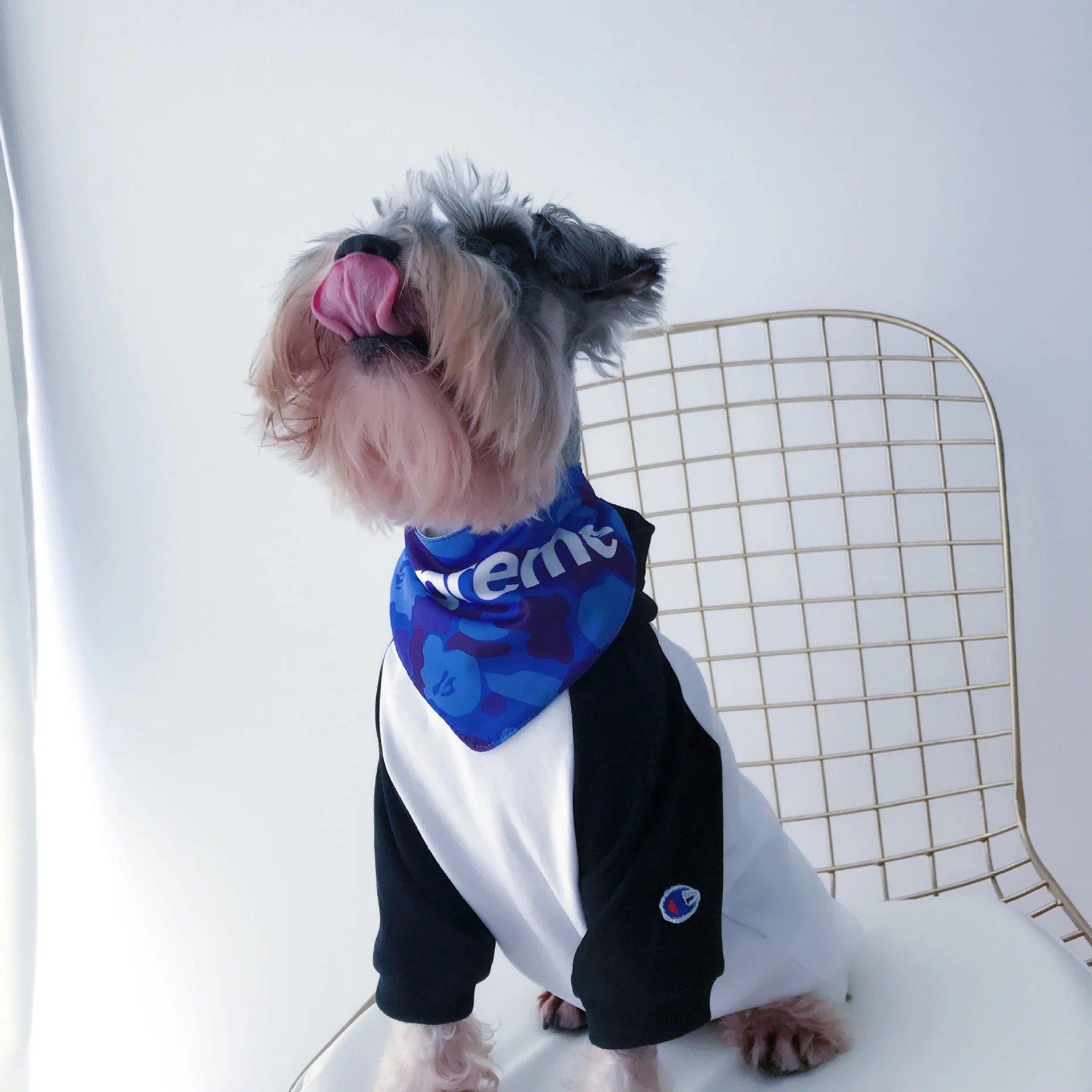 Pet Tide брендовая одежда собаки кошки Фэнтези Тедди Шнауцер щенков осенне зимние