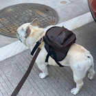 Роскошный дизайнерский комплект из рюкзака и поводка для собак малого и среднего размера, модные кожаные аксессуары для чихуахуа