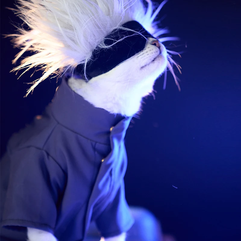 

Jujutsu Kaisen Gojo Satoru Pet Dog Cat Cosplay Costumes Clothes