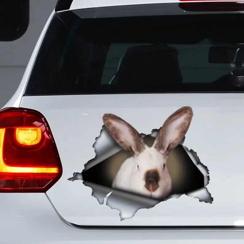 

Californian rabbit decal ,rabbit magnet, rabbit car decal, rabbit car sticker