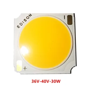 25 шт. 19 мм COB 12C-5B-60chips 30 Вт 36 в-40 в теплый естественный полдень белые светодиодные настенные лампы Налобные фонари прожекторы потолочные светильники Даунлайты