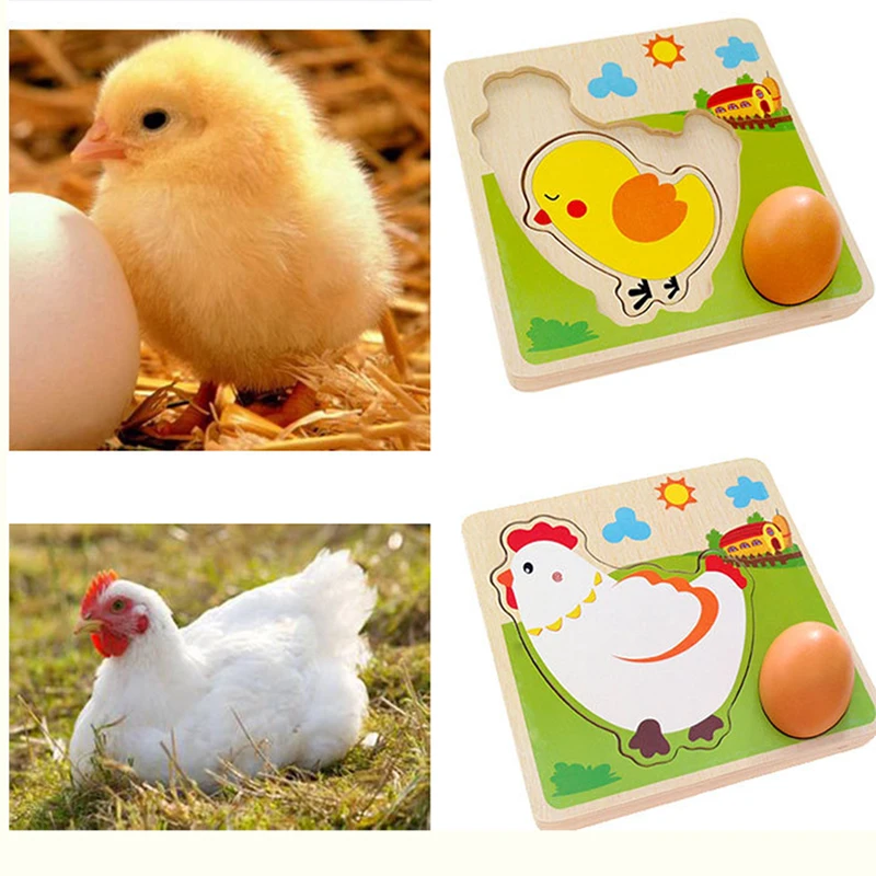

3D Wooden Multi-layer Puzzle Hen laying Eggs Chicken Growth Process Cartoon Jigsaw Early Educational Toys For Children Kids