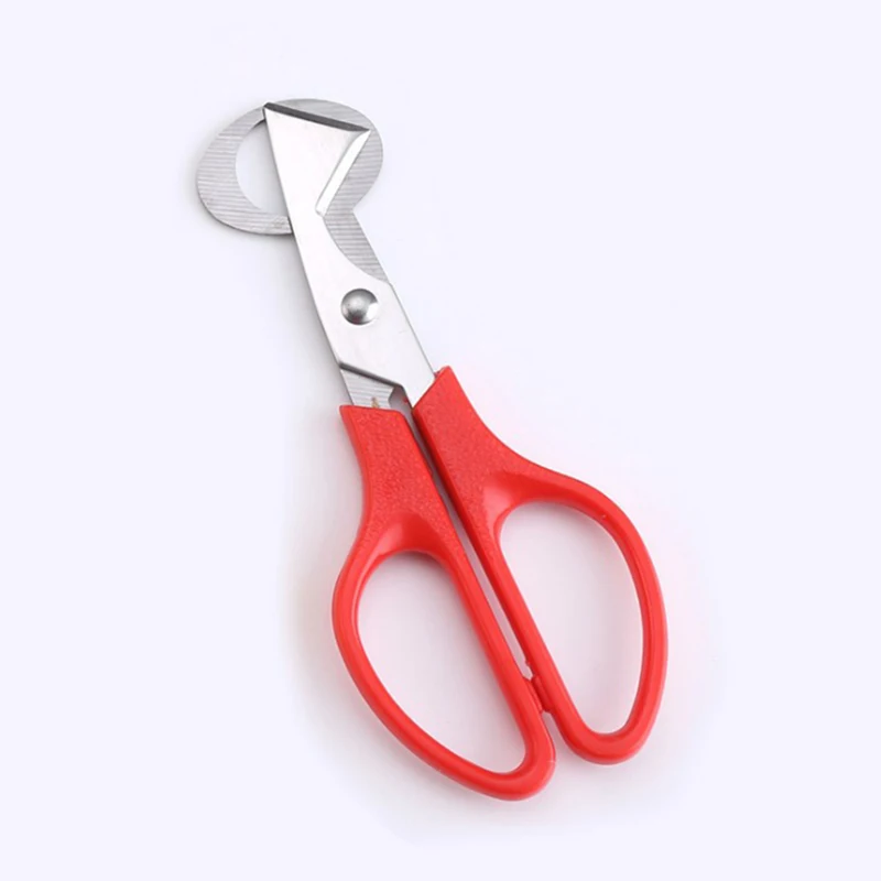 

1Pcs Stainless Steel Cut Whisk Egg Apparatus Pigeon Quail Egg Scissor Bird Opener Clipper Eggshell Cutter Kitchen Tool