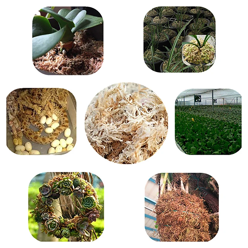 

Hot 6L Sphagnum Moss Garden Supplies Moss Sphagnum Moisturizing Nutrition Organic Fertilizer For Orchid Phalaenopsis